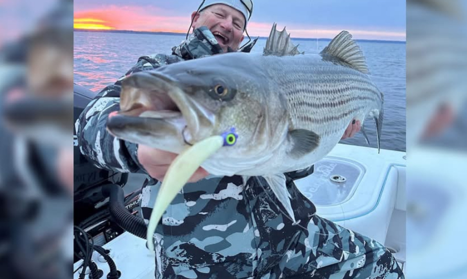 In Loving Memory of Lonnie James Johnson